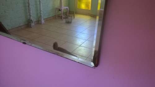 BEAUTIFUL, bevelled edge ANTIQUE MIRROR. MAKES A STATEMENT ON ANY WALL!